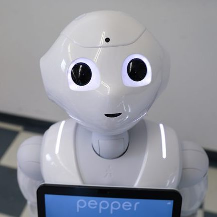 Pepper is a socially interactive robot used by a team in the Autonomous Systems and Biomechatronics Lab at U of T Engineering to study persuasion and authority in robot-human interactions. (Photo: Liz Do)