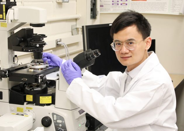 Xian Wang (MIE PhD candidate) has developed a magnetic nano-scale robot that can be moved anywhere inside a human cell. The tool could be used to study cancer and potentially enhance its diagnosis and treatment. Photo courtesy Tyler Irving. 