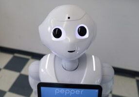 Pepper is a socially interactive robot used by a team in the Autonomous Systems and Biomechatronics Lab at U of T Engineering to study persuasion and authority in robot-human interactions. (Photo: Liz Do)
